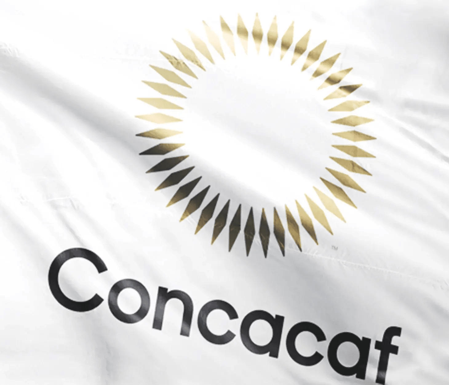 image: Judicial Bodies