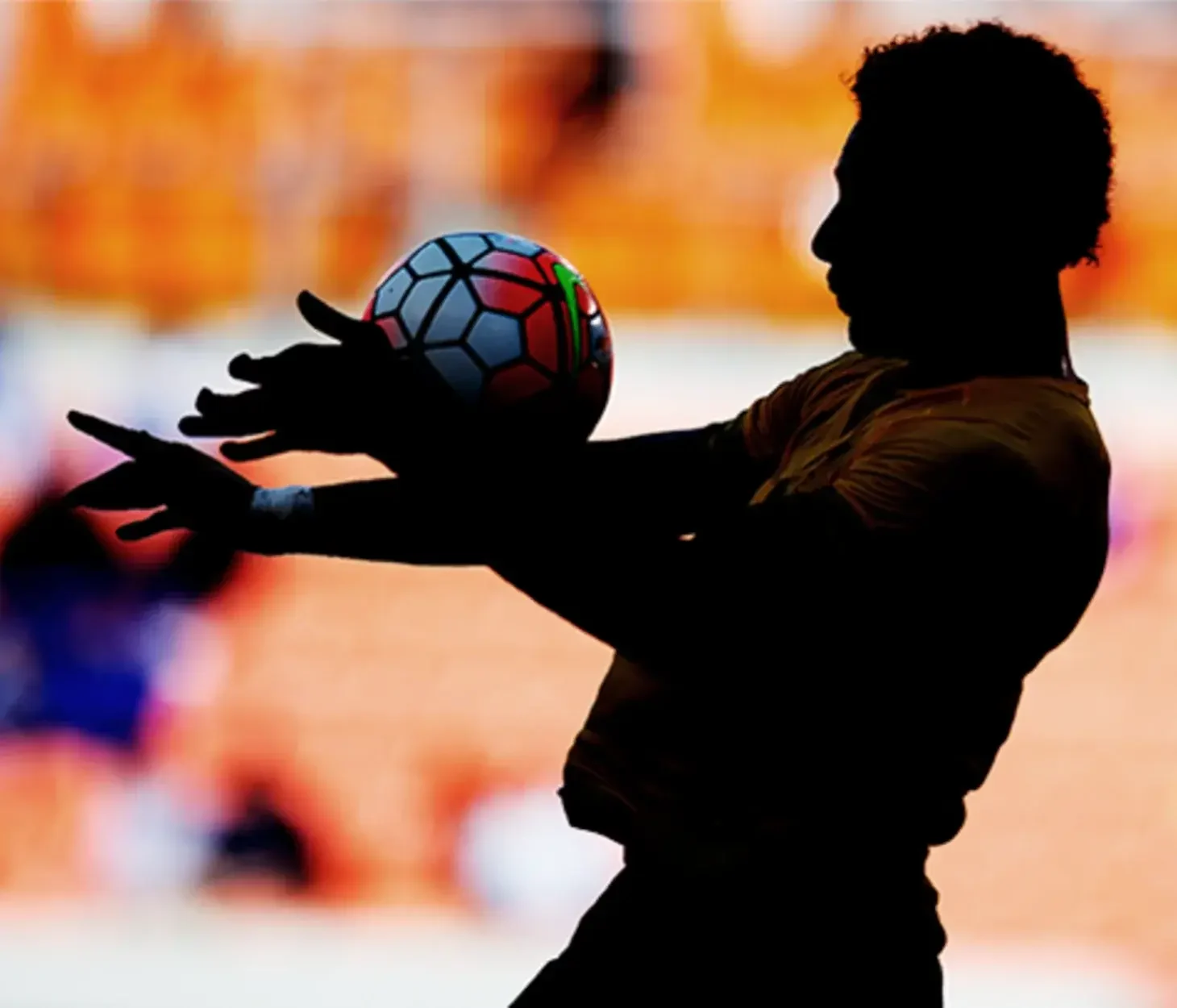 image: Standing Committees