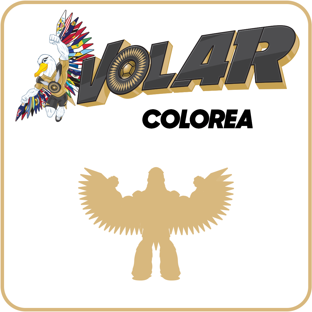 image: Volar Coloring Page Spanish