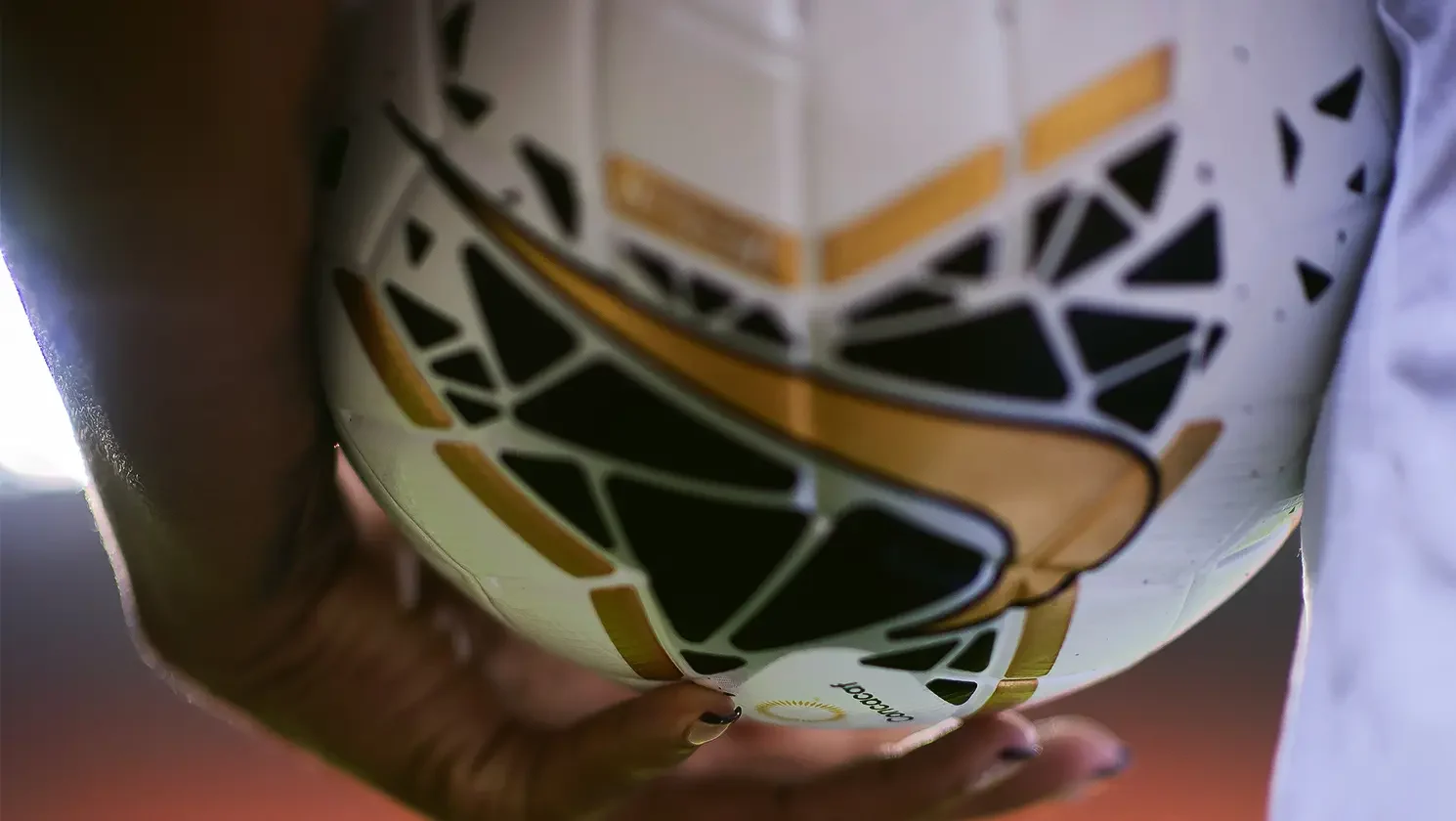 image: Business of Belonging Panel 1