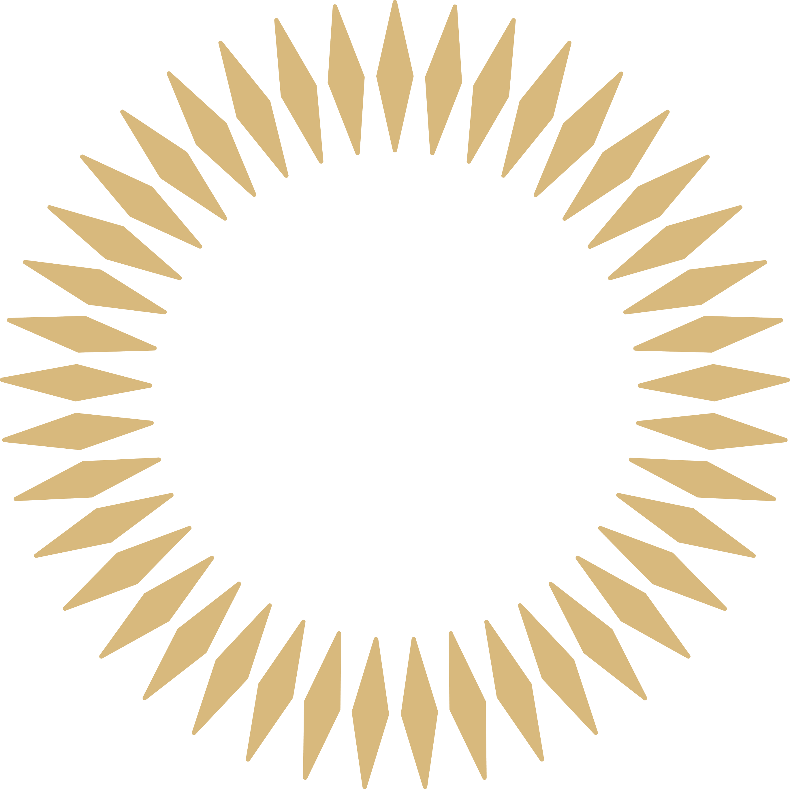 image: ea7b38861ee10916d9deddb4d7d7050fdf54697e