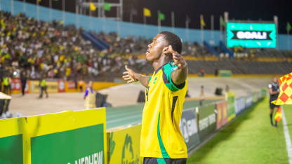 image: 81
