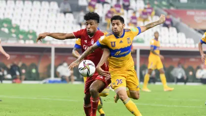 image: tigres_javier_aquino