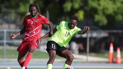 image: cnl24-vgb-v-skn-preview