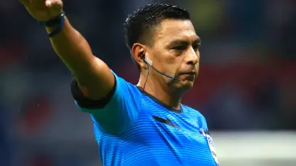 image: arbitrosida