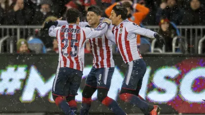 image: final_golpulido