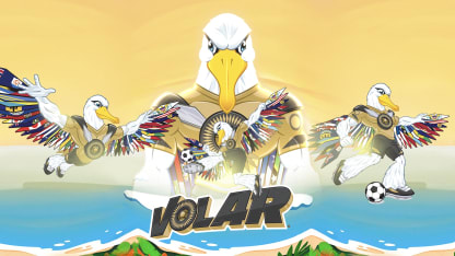 image: volar-action_16x9