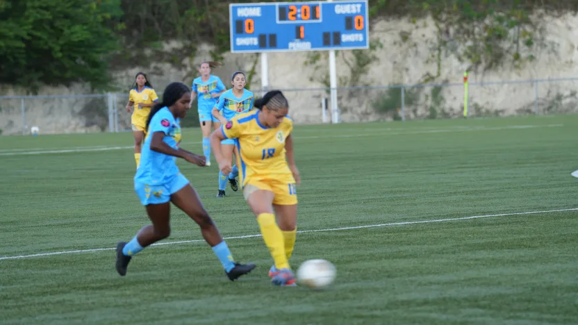 image: media_74016321_73616948