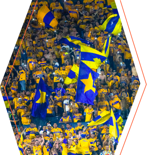 image: Doce_Diamond_Template_tigres_jx9zak